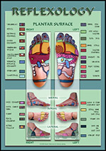reflexology pressure point chart pressure point chart