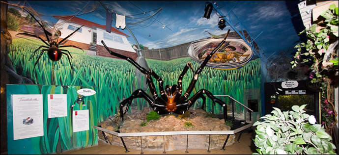 Animatronic Funnel-web in situ Animatronic Funnel-web in situ
