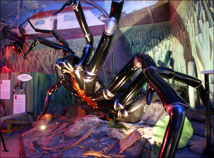 3/4 side profile of large scale Animatronic Funnel-web Spider 3/4 side profile of large scale Animatronic Funnel-web Spider
