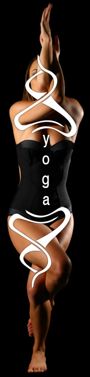 Eagle Pose Yoga Logo Eagle Pose Yoga Logo