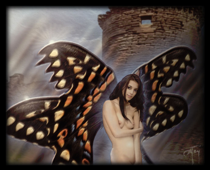 butterfly faerie butterfly faerie